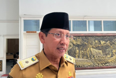 Beras Kemasan 5 Kg Langka di Jambi, Ini Penyebabnya