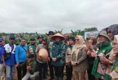 Kelompok Tani Kasturi Jadi Contoh Pemanfaatan Lahan Nonproduktif di Kota Jambi 