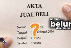 Hindari Sengketa, Kementerian ATR/BPN Imbau Masyarakat Segera Ubah AJB Menjadi Sertifikat Tanah