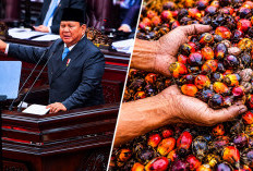 Harga TBS Sawit Bisa Lebih Stabil? Ini Penjelasan PP Baru Prabowo soal Ekspor CPO Lewat BUMN