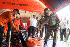 Waduh! Hingga 7 Juni, 122 Hektare Lahan di Jambi Terbakar