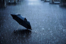 Hujan Lebat Diprediksi Guyur Jambi dan sekitarnya Pada Selasa 09 Desember, Catat Prakiraannya