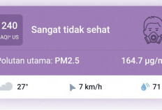 Kota Jambi Kembali Diselimuti Kabut Asap, Begini Kondisi Udara Terbarunya