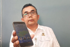 Gawat! Api Karhutla di Berbak dan Sembilang Makin Dekat ke Habitat Harimau, Jaraknya Tinggal 2-3 Kilometer