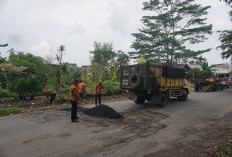 Jalan Sari Bakti Diaspal, Camat Alam Barajo Apresiasi Respons Cepat PUPR