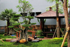 Bawa Nuansa Resor ke Rumah, Konsep Taman Tropis Minimalis Jadi Tren Penghilang Stres Masyarakat Urban