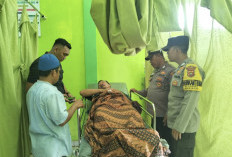 Heboh! Lagi Cari Ikan di Bungo, 2 Warga Diserang Buaya