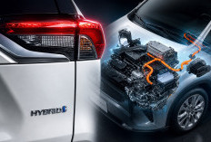 Banyak yang Salah Paham! Ini Perbedaan Mild Hybrid dan Full Hybrid