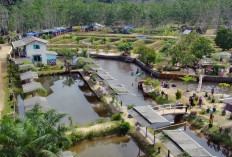 Wisata Rivera Park dalam Ancaman Serius, Tambang Emas Tanpa Izin Kembali Beroperasi  