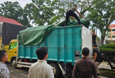 Terbongkar! Polda Jambi Bongkar Penyalahgunaan Pupuk Subsidi di Muaro Jambi, Amankan 7,3 Ton Pupuk Urea