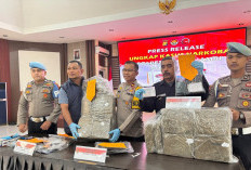 Polres Muaro Jambi Gagalkan Peredaran 30,8 Kg Ganja, Dibawa Kurir Asal Rantau Rasau Tanjab Timur