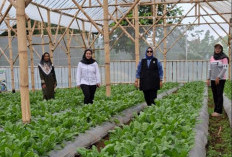 Perempuan Nasabah PNM Mekaar di Bandung Barat Kembangkan Usaha lewat Sinergi Ultra Mikro BRI