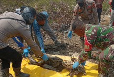 Kerangka Manusia Tanpa Kepala Ditemukan di Pantai Sadu! Ini Penjelasan Kapolres Tanjab Timur