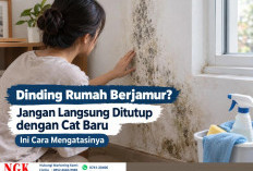 Dinding Rumah Berjamur? Jangan Langsung Ditutup dengan Cat Baru, Ini Cara Mengatasinya