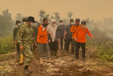Karhutla di Kumpeh Belum Padam, Ini Kendala yang Dihadapi