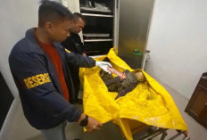 Polisi Bawa Kerangka Manusia yang di Temukan di Pesisir Sungai Sayang Sadu ke RS Bhayangkara