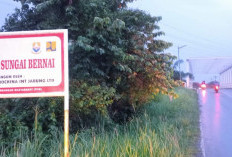 Jembatan Sungai Bernai Yang Dibangun SKK Migas-PetroChina, Menunjang Kunjungan Wisatawan ke Candi Muaro Jambi