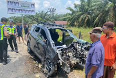 Truk Box Berhenti Mendadak di Jalinsum Sarolangun, Daihatsu Sigra Tabrak Keras! 10 Orang Luka-Luka