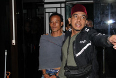 Akhir Pelarian Al-Fajri! DPO Kasus Pencurian di Tanah Tumbuh Ditangkap Tim Tabur Kejari Bungo