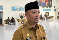 Waktu Terbatas! Pendaftaran Beasiswa Pro Jambi Cerdas Jenjang S1 Resmi Dibuka