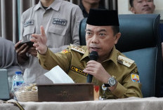 BMKG Ingatkan Ancaman El Nino 2026 Diprediksi Picu Karhutla Besar, Jambi Masuk Zona Rawan