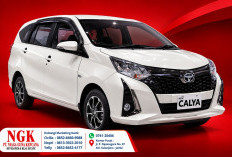 Toyota Calya Bekas: Pilihan MPV 7-Seater Terjangkau untuk Mobilitas Keluarga