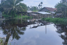 Warga Desa Suka Maju Tanjab Timur Resah! Jadi Langganan Banjir, Ancaman Hewan Buas Mengintai