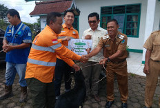  PT SAS dan Group Salurkan 40 Hewan Kurban untuk Masyarakat Jambi