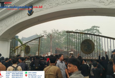 Tuntut Penanganan Karhutla! Massa Aliansi Rakyat Jambi Marah Coba Terobos Rusak Pagar Kantor Gubernur Jambi