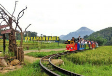 Jangkau 5.245 Desa BRILiaN, BRI Perluas Dukungan bagi Pengembangan Ekonomi Desa