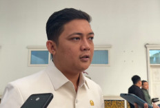 Lahan Terbakar Tak Boleh Ditanami Sawit, DPRD Jambi Siapkan Perda Karhutla