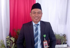  Muaro Jambi Terima 92,4 Ton Benih Padi, Tingkatkan Produktivitas Sawah