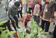 Pemkot Jambi Kembangkan Agrobiopori untuk Perkuat Ketahanan Pangan