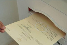 Ingin Alihkan Hak Tanah? Segera Urus Balik Nama Sertipikat di Kantor Pertanahan Kota Jambi