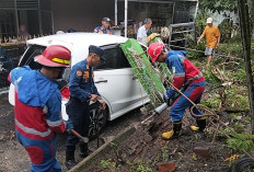 DETIK-DETIK PAGAR ROBOH TIMPA MOBIL! Aksi Dramatis Damkar Evakuasi di Tengah Sisa Hujan Deras