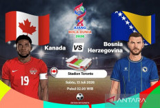 Sergej Barbarez: Status Terendah Bukan Masalah, Bosnia Punya Mentalitas Penakluk Raksasa!