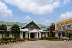 Muaro Jambi Raih Predikat Sangat Baik dalam Penilaian PTSP Nasional dan Kinerja PPB Tahun 2026