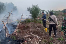Gerak Cepat Polres Tanjab Timur Tangani Karhutla di Rawasari, Api Dipadamkan Setelah 5 Jam