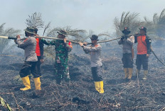 Antisipasi Karhutla Tak Menyebar, 50 Hektar Lahan di Sungai Gelam Terbakar 