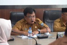 Jadi Beban Anggaran, Pemkab Merangin akan Lelang Kendaraan Dinas Tua 