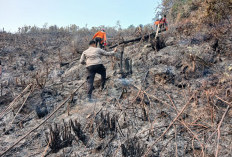 Tembus Jalur Ekstrim, Polres Merangin dan Tim Padamkan Karhutla di Muara Siau! Turunkan Heli Waterboombing