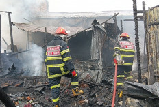 Detik-Detik Api Mengamuk di Solok Sipin! 7 Rumah Hangus, Damkar Jambi Sempat Kesulitan Akses