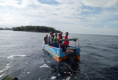 Nah! Warga Sadu yang Diterkam Buaya di Air Hitam Tanjab Timur Berhasil Ditemukan