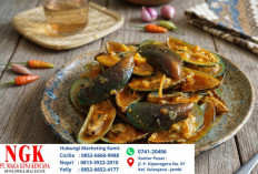 Resep Masakan Kerang Hijau Saus Padang Gurih Mantap Menggugah Selera