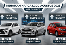 Masih Jadi Favorit! Penyesuaian Harga LCGC Agustus 2026: Daihatsu, Toyota, dan Honda Kompak Naik