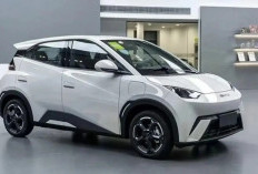 Cuma Bayar Rp143 Ribu! Pajak BYD Atto 1 Tahun 2026 Bikin Kaget, Ini Rincian Lengkapnya