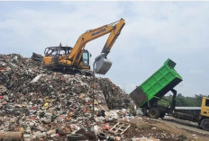 Volume Sampah di Bawah Perkiraan, DLH Jambi Sebut TPA Talang Gulo Masih Punya Ruang 4-5 Tahun