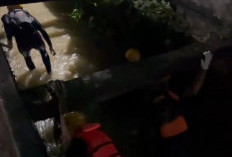 Hujan Lebat! Bocah Perempuan Diduga Terbawa Arus Drainase di Perumahan Sigasland RT 45 Kota Jambi