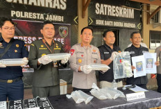 Wow! Hampir 48 Ribu Benih Lobster Ilegal Senilai Rp7,1 M Diamankan di Jambi, Diduga Jaringan Antar Provinsi