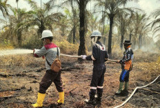 PetroChina Bantu Padamkan Karhutla di Jambi